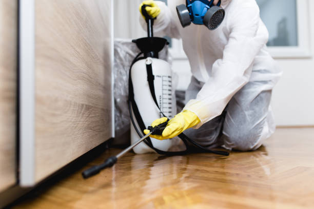 Best Ant Control Services  in Cullowhee, NC