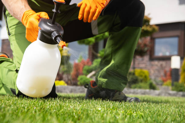 Best Pest Control for Homes  in Cullowhee, NC