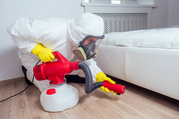 Best Local Pest Control Services  in Cullowhee, NC